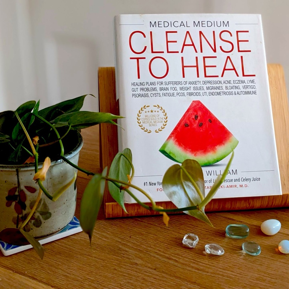 Cleanse to Heal by Anthony William